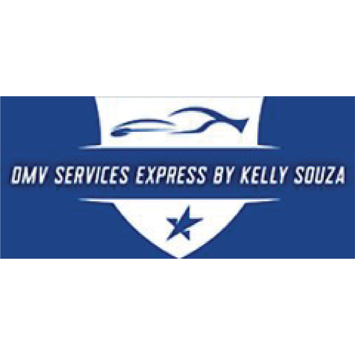 Kelly Souza Dmv Services